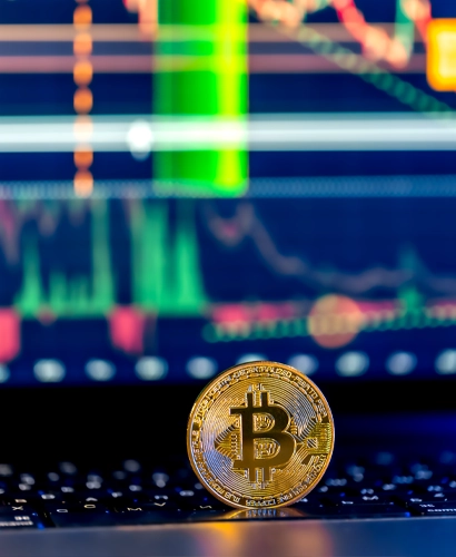 Il team di MarivoxenoPro durante l'analisi di mercato